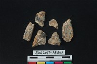 獸骨藏品圖，第2張