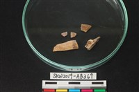 獸骨藏品圖，第2張