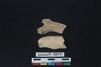 獸骨藏品圖，第1張