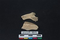 獸骨藏品圖，第2張