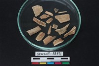 獸骨藏品圖，第3張