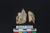 獸骨藏品圖，第1張