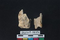 獸骨藏品圖，第2張