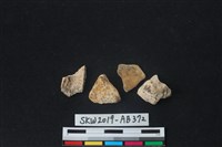 獸骨藏品圖，第3張