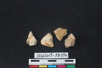 獸骨藏品圖，第4張