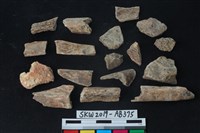 獸骨藏品圖，第3張