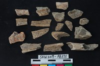 獸骨藏品圖，第4張