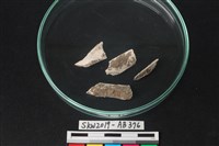 獸骨藏品圖，第2張