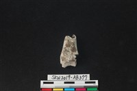 獸骨藏品圖，第1張