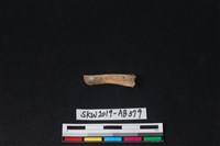 獸骨藏品圖，第1張