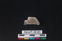 獸骨藏品圖，第1張