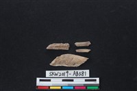 獸骨藏品圖，第2張