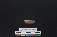 獸骨藏品圖，第1張