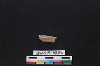 獸骨藏品圖，第2張