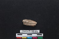 獸骨藏品圖，第2張