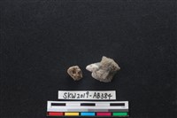 獸骨藏品圖，第1張