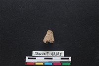 獸骨藏品圖，第1張