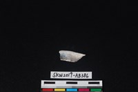 獸骨藏品圖，第1張