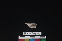 獸骨藏品圖，第2張