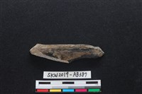 獸骨藏品圖，第2張