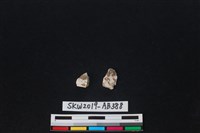 獸骨藏品圖，第1張