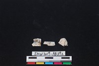 獸骨藏品圖，第2張