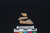 獸骨藏品圖，第1張