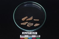 獸骨藏品圖，第1張