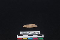 獸骨藏品圖，第1張