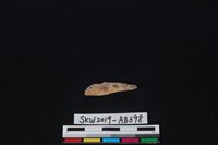 獸骨藏品圖，第2張