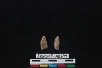 獸骨藏品圖，第1張