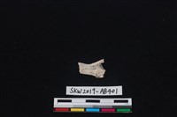 獸骨藏品圖，第1張