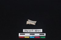 獸骨藏品圖，第2張