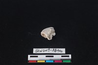 獸骨藏品圖，第1張