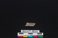 獸骨藏品圖，第2張