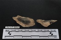 獸骨藏品圖，第2張