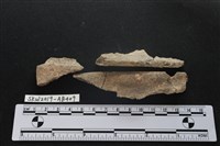 獸骨藏品圖，第4張