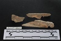 獸骨藏品圖，第5張