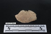 獸骨藏品圖，第2張