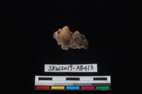 獸骨藏品圖，第3張