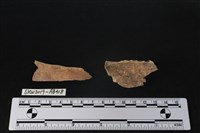 獸骨藏品圖，第1張