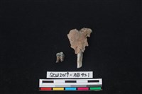 獸骨藏品圖，第2張