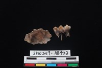 獸骨藏品圖，第2張