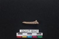 魚骨藏品圖，第2張