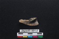 獸骨藏品圖，第1張