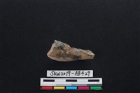 獸骨藏品圖，第2張