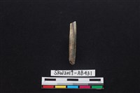 獸骨藏品圖，第3張