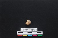 獸骨藏品圖，第1張