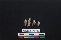 獸骨藏品圖，第2張