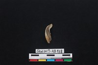 獸骨藏品圖，第2張